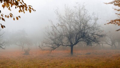 Прогноз погоды на 2 ноября: гололёд, туман и усиление ветра ожидаются на севере и востоке Казахстана