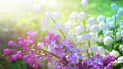 Прогноз погоды на 6 мая: заморозки ожидаются в нескольких регионах Казахстана