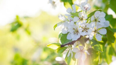 Сколько дней казахстанцы отдохнут в мае. Календарь выходных