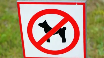 Владельцы собак пожаловались на незаконные штрафы за выгул в парках Караганды