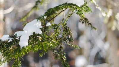 В Казахстане спадут морозы в ближайшие дни