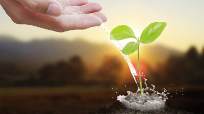 Министр экологии рассказал Токаеву об аудите предприятий и разработке нового Водного кодекса