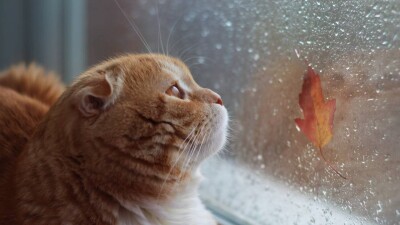 Тёплую погоду и осадки прогнозируют синоптики в Казахстане на выходные