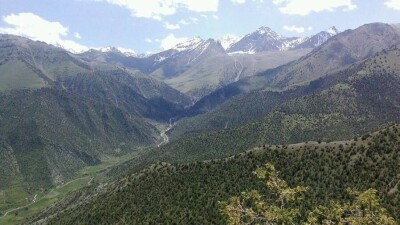 Кыргызстан заявил об обстреле своих позиций таджикскими военными