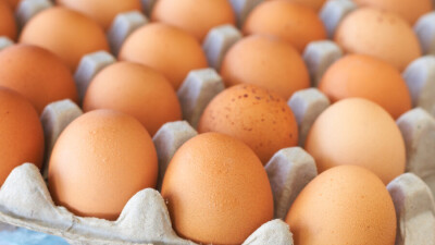 В акимате Актау объяснили дефицит яиц в магазинах сокращением поставок и высоким спросом перед Новым годом