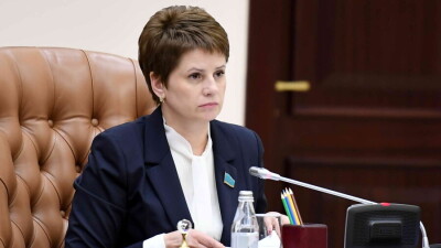 Сенатор Перепечина: Используемые в школах платные сайты дублируют функции Kundelik. Бюджетные траты неэффективны