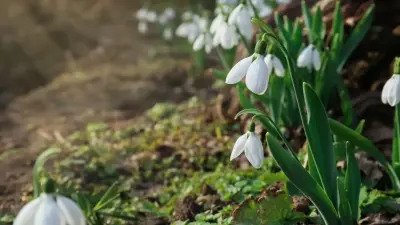 Предпраздничные дни порадуют казахстанцев тёплой и солнечной погодой