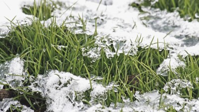 Снег и понижение температуры ожидаются на севере Казахстана