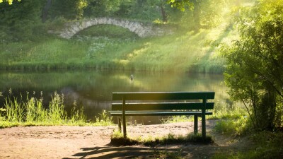Ливни на востоке и жара на западе: погоду на ближайшие три дня спрогнозировали синоптики