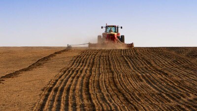 Депутаты: Вместо того, чтобы навести порядок с субсидиями, Минсельхоз предпочитает их просто отменить