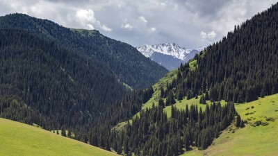 Незаконная выдача участков на Бутаковке: управление земельных отношений Алматы подало иск об отмене госактов