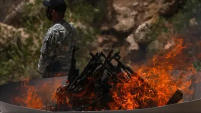 Рабочая партия Курдистана объявила о выводе вооружённых сил из Турции