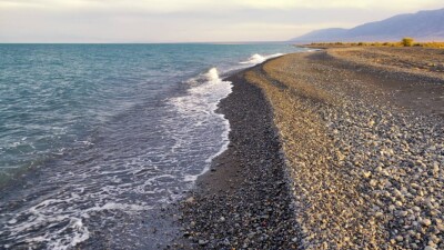 Как выгоднее добраться до Алаколя: поездом или самолётом