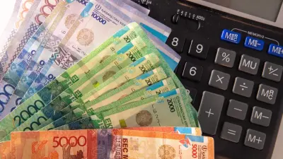 Почти 117 млрд тенге выделили из резерва правительства для поддержки аграриев