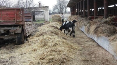 Хищения субсидий: Минсельхоз представил план борьбы с коррупцией