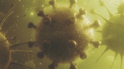 В Узбекистане выявили индийский штамм коронавируса