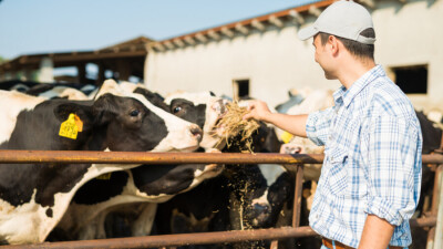 Казахстан и Россия сняли взаимные временные ограничения и запреты на поставки животноводческой продукции