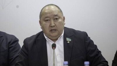 Депутат: Принимая россиян, отказавшихся держать в руках оружие, Казахстан вносит вклад в поддержание мира