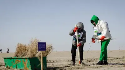 Послание президента-2024: сколько сеянцев высадили в лесах Казахстана и на высохшем дне Аральского моря