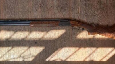 Фигурант дела о январских событиях замуровал похищенное ружьё в стену