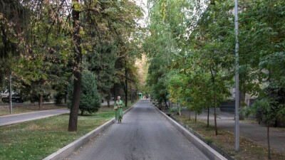 "Одной рукой сажаем, другой – уничтожаем". Эксперт объяснил, почему в Алматы погибают деревья