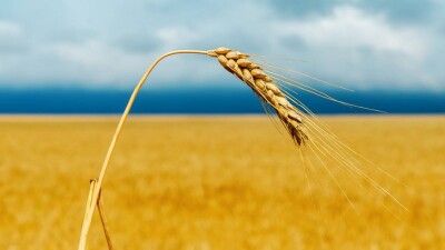 Почему в пострадавших от дождей регионах не ввели режим ЧС, объяснил премьер-министр