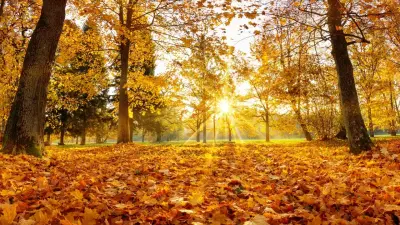 Октябрь порадует казахстанцев тёплыми днями – прогноз погоды на месяц от Казгидромета