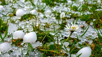 Град, дождь и сильный ветер: алматинцам не рекомендуют выходить на улицу и оставлять машины под деревьями