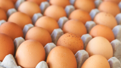 469 тенге за десяток, 647 тенге за литр: в столице намерены установить предельные цены на яйца и подсолнечное масло