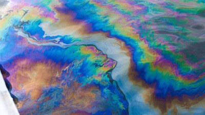 На Бухтарминском водохранилище обнаружили нефтяное пятно