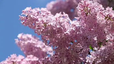 Переноса нет, работаем через день: календарь выходных в Казахстане на май