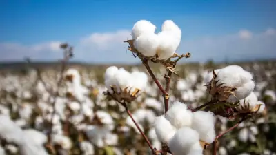 Китайская компания вложит 200 млрд тенге в проект на юге Казахстана: Бектенов подписал постановление