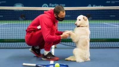 Выступающие на Forte Challenger теннисисты провели благотворительную фотосессию с собаками из приютов