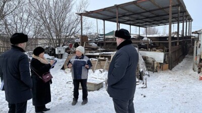 Расхождения статистических и фактических данных по поголовью скота выявили в Улытауской области