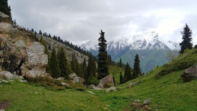 Тендер по передаче частникам 188 гектаров земли Иле-Алатауского нацпарка отменили