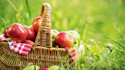 В каких регионах сохранится жара, а где похолодает в выходные дни