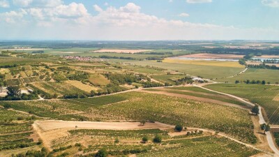 57,6 га лесного фонда в Туркестанской области передадут для обслуживания газопровода Казахстан – Китай