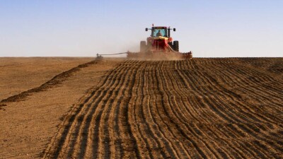 Сенатор: В нашем Минсельхозе могут работать сотрудники, не отличающие пшеницу от ячменя