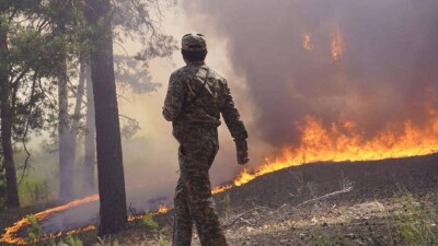 60 тысяч га сгоревшего леса: масштабный пожар в Абайской области ликвидировали