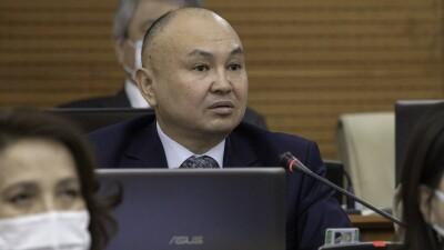 Депутат об отмене закона о Елбасы: Важно не допускать механизмов, ведущих к узурпации власти