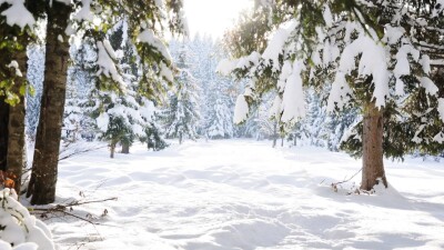 Осадки прогнозируют в Казахстане на выходные