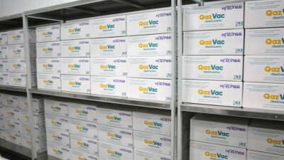 По 3000 двухкомпонентных доз вакцины QazVac поступило в Нур-Султан и Алматы