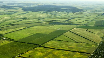 Новый сайт для подачи заявок на получение земли работает со сбоями, а в акиматах документы уже не принимают