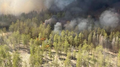 Лесной пожар в Абайской области: эвакуировали жителей трёх сёл, несколько домов пострадали от огня