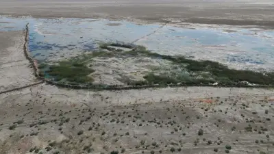 Улучшение экосистемы дна Арала: в Казахстане запускается проект мирового значения