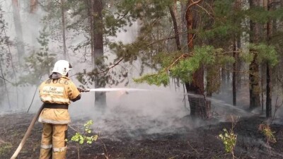 "Сложный был пожар, не такой, как в учебниках". Огнеборцы Алматинской и Карагандинской областей вернулись домой