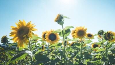 Потепление ожидается в Казахстане в ближайшие дни