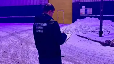 Тела двух казахстанцев обнаружили на металлургическом комбинате в Череповце