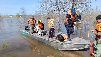 Паводки в Казахстане: главное к утру 23 апреля