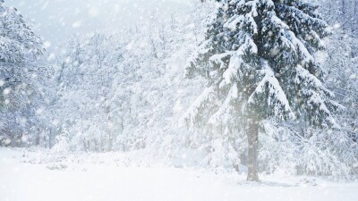 Прогноз погоды на 4 февраля: в большинстве регионов ожидается снег, на юге и востоке – без осадков